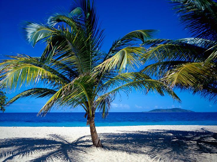 Plaże - St. Croix, US Virgin Islands - 1600x1200 - ID 42.jpg