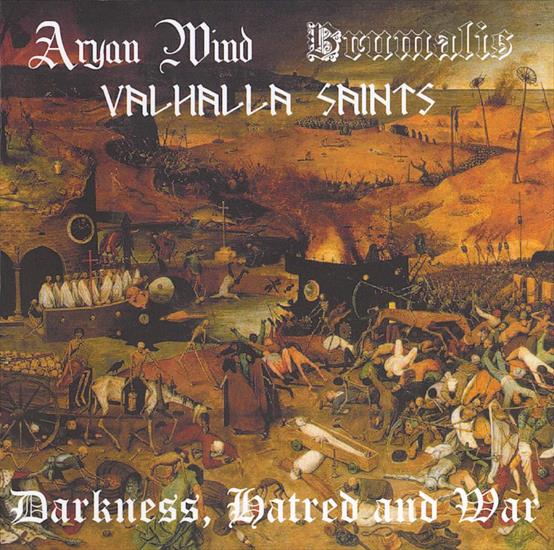 2003. Aryan Wind  Brumalis  Valhalla Saints - Darkness, Hatred And War - Cover.jpg