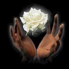 KWIATY - róża i dłonie.jpg