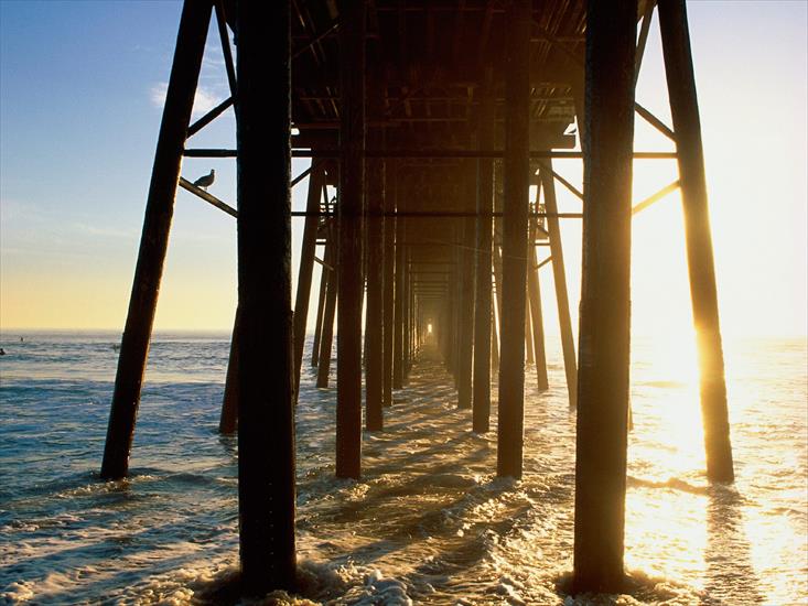 Krajobrazy - Under the Boardwalk, Oceanside, California - 160.jpg
