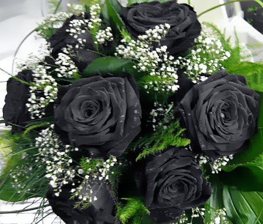 Róże - roses_black_by_moon_atic.jpg
