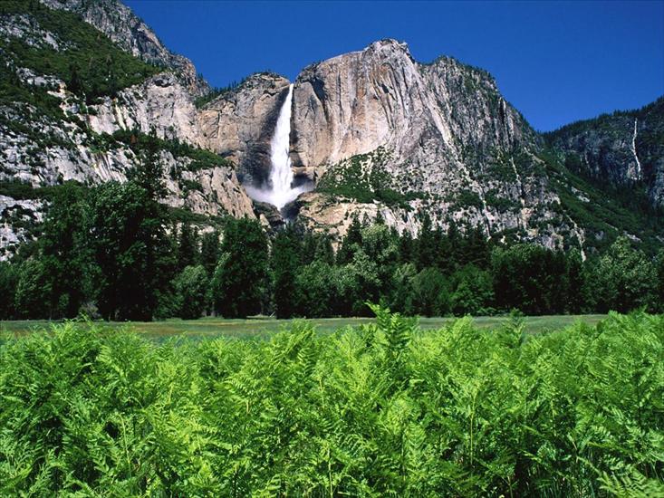 TAPETY WIDOKI - Yosemite Falls, California.jpg