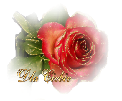  Róże - dla CiebieROZA1.png