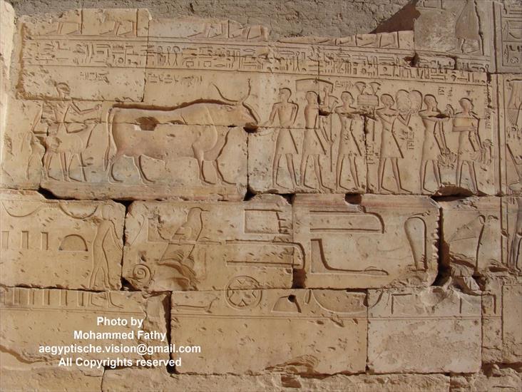 Świątynia w Ramses II - Świątynia w Ramses II 53.jpg
