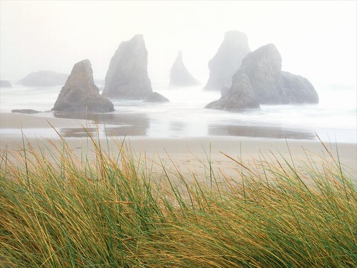  Plaże - Seastacks in Fog, Bandon, Oregon - 1600x1200 - I.jpg