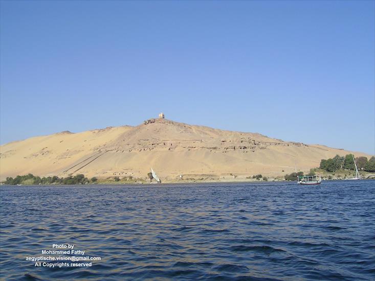 Przyroda - Przyroda w Aswan 382.jpg