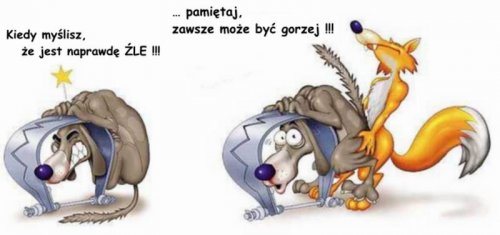 HUMOR- polecam - gorzej.jpg